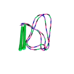 طناب مهره ای - Image 6