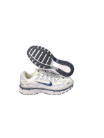 کفش   NIKE p6000
